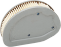 Replacement Air Filter for Harley-Davidson Softail/Touring/Trike (E14-0307DS)