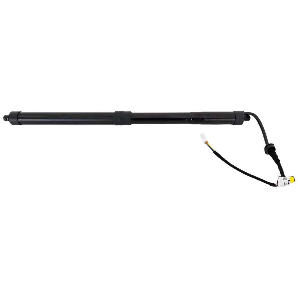 Liftgate Lift Supports for Toyota RAV4 (2019–2023)