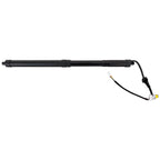 Liftgate Lift Supports for Toyota RAV4 (2019–2023)