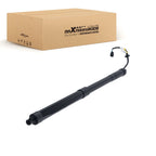 1X Lift Support Rear Tailgate for Hyundai Santa Fe Sport/XL (2013–2016) 81771B8100