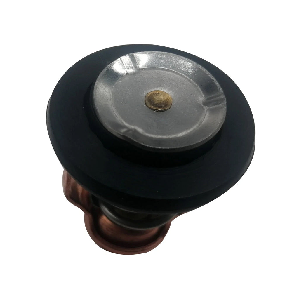 Thermostat for Yamaha Outboard F225 F250 4.2L V6 (2002–2010) 6CE-12411-00