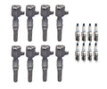 Set of 8 Ignition Coils & Spark Plugs for 4.6L 5.4L V8 (Denso)