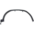 Set of 2 Fender Flares for Lexus RX350 (2016–2017)