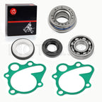 WATER PUMP KIT SEAL GASKET for HONDA ATC/TRX (1985–1989)