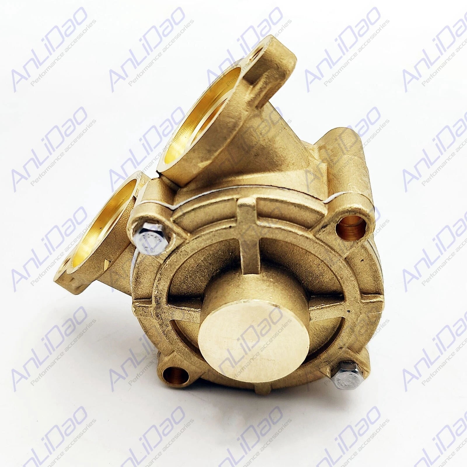 Sea Water Pump for Volvo Penta Johnson Gasoline Engine (855578, 855517, 828026)