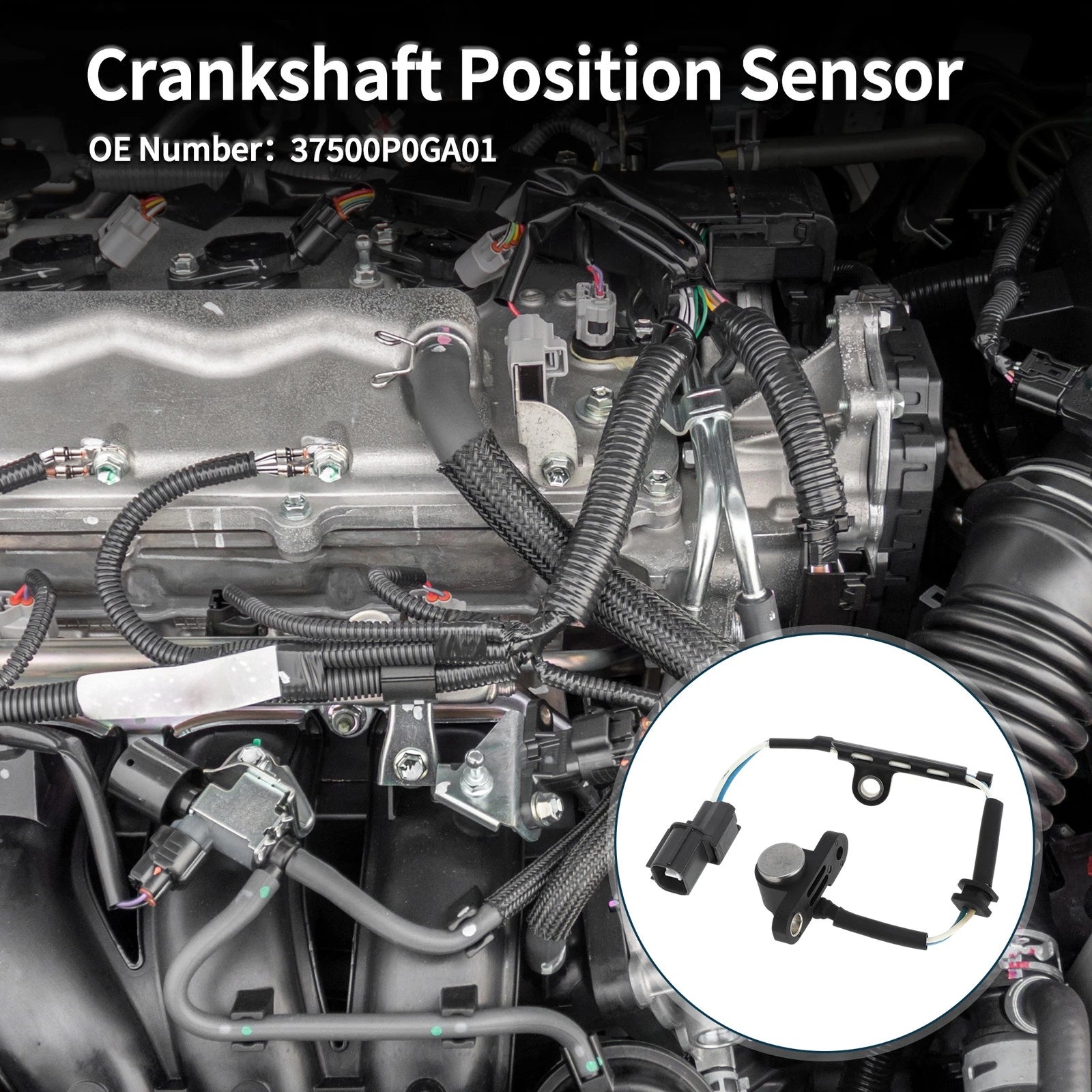 Crankshaft Position Sensor for Honda Accord 2.7 (1995–1997) No. 37500P0GA01