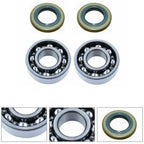 Crankshaft Bearings for 262 357 359 Models (Accessory Garden Power Equipment)