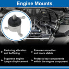 Engine Motor Mount for Honda Odyssey EX 3.5L V6 (2023) No.A65093