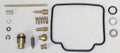 Carburetor Kit 016-209 for WSM 300 LT-F (1991–1999)