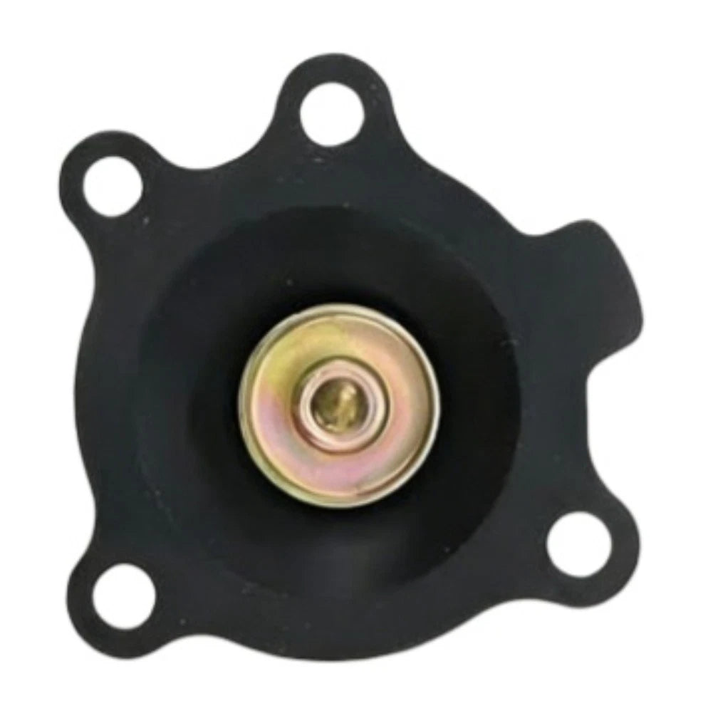 Carburetor Repair Kit for