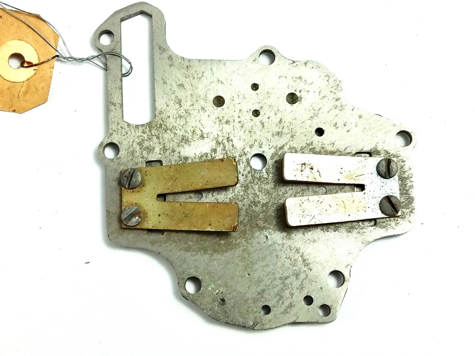 Leaf Plate Assembly for Johnson Evinrude 6hp (0387383)