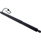Set of 2 Liftgate Lift Supports for Y Pair