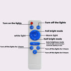 Remote Solar Ceiling Light Panel - Two Color Choices