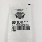 Valve System Assembly for Harley-Davidson (43206-01)