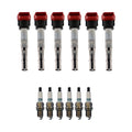 Set of 6 Ignition Coils & Iridium TT Spark Plugs for Audi S5 (2011)