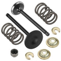 Intake & Exhaust Valve Kit with Springs & Seals for Yamaha Golf Cart G11 G16 G20 G21 (1995–2002)