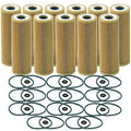 Set of 11 Engine Oil Filters for Ford Lincoln V6 Turbo