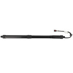 Lift Support Strut for Hyundai Santa Fe (2013–2016)