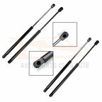 Set of 6 Lift Supports for Hyundai Santa Fe (2001–2006)