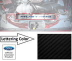 Radiator Cover Plate for Ford Mustang GT (2015–2017) Stainless Black Carbon