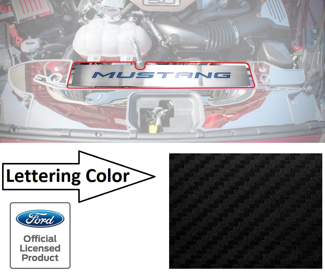 Radiator Cover Plate for Ford Mustang GT (2015–2017) Stainless Black Carbon