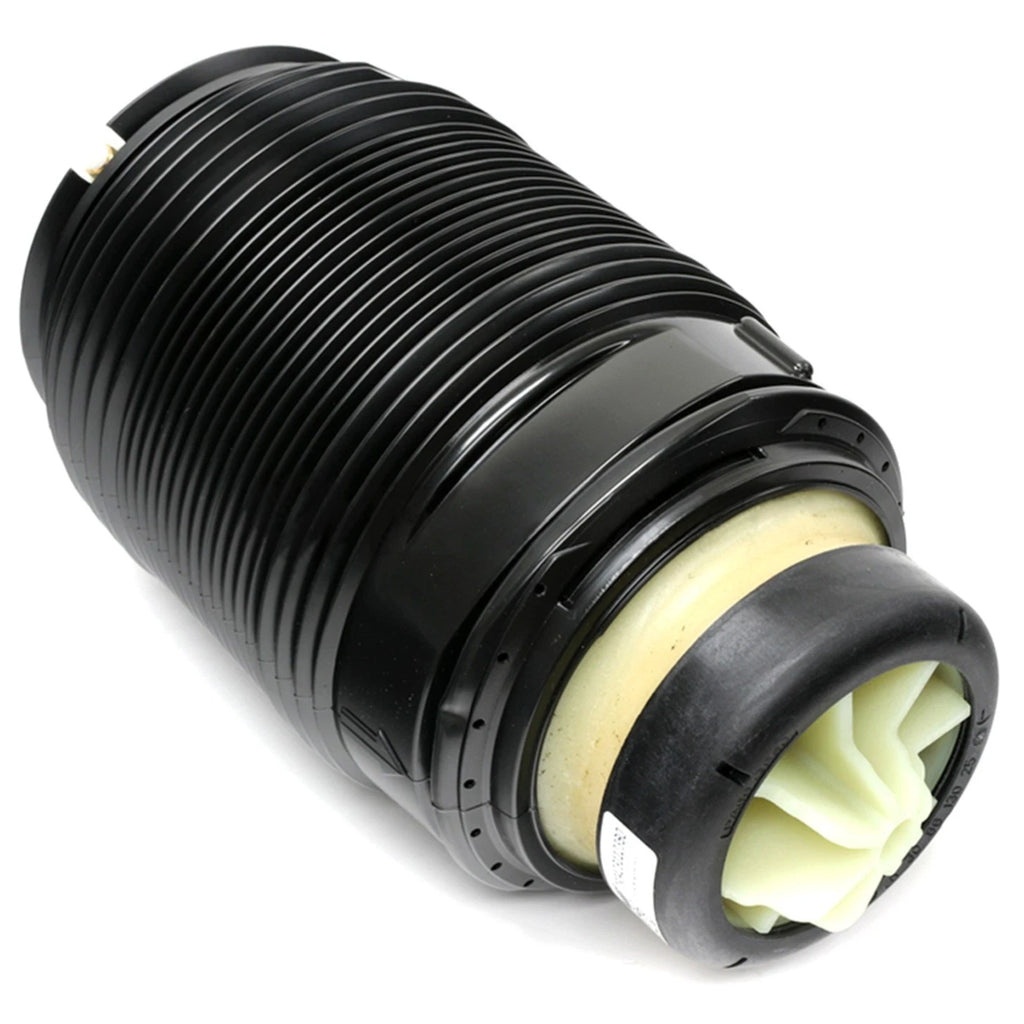 Air Spring Shock and Strut for Mercedes-Benz E-Class (Rear Left)