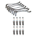 Denso Wire Set & 8 Iridium TT Spark Plugs for Chevy GMC 8.1L V8 (2001–2006)