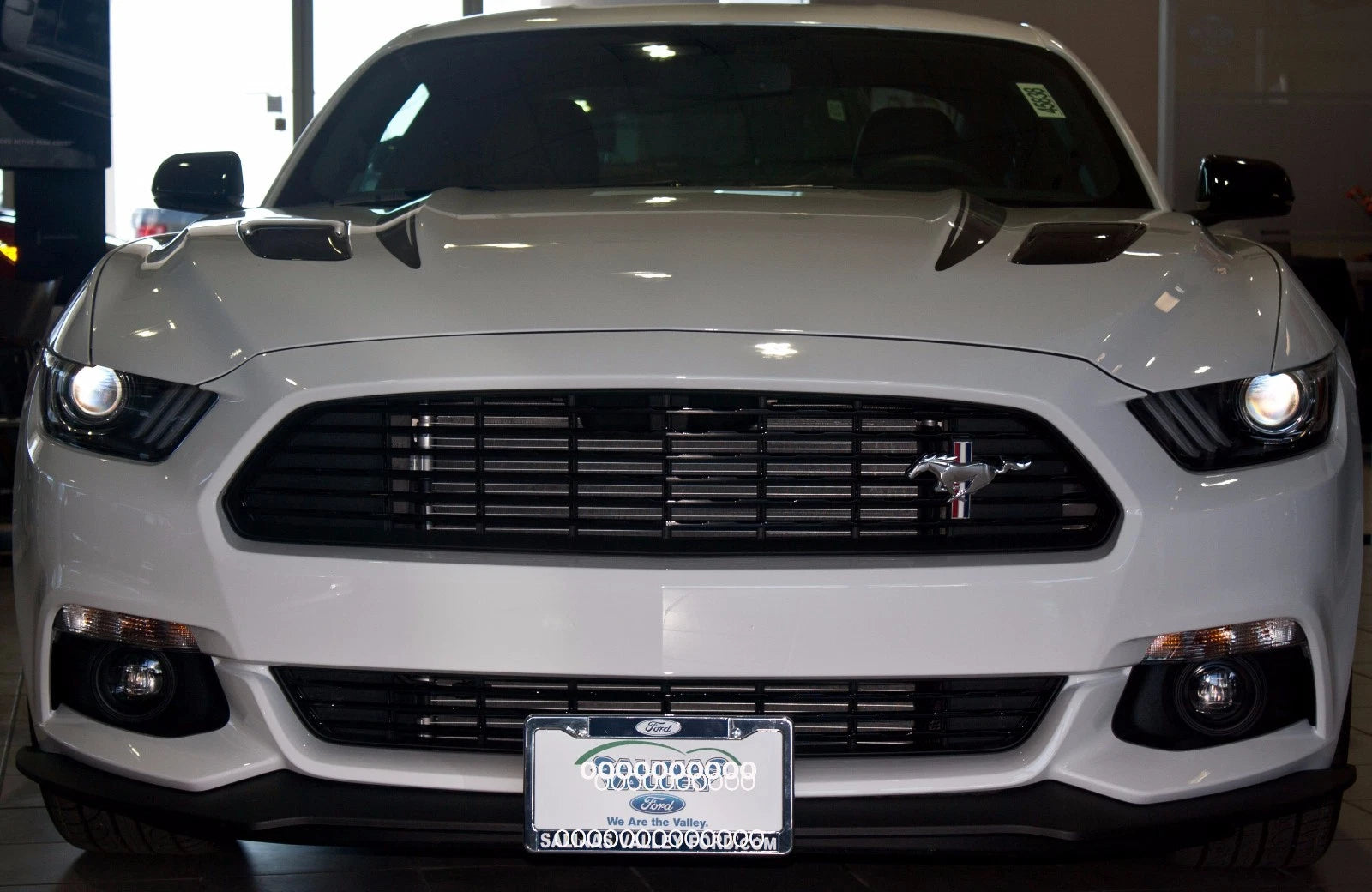 License Plate Bracket Replacement for Ford Mustang 2015–2017