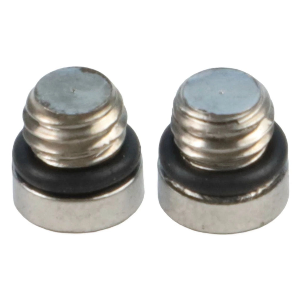 TORX Bleed Screws for SRAM Guide Brakes (2015–2023)