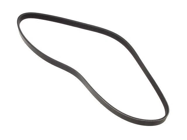 Power Steering Multi Rib Belt for Mazda 626 (1993–2002) CD727ZD