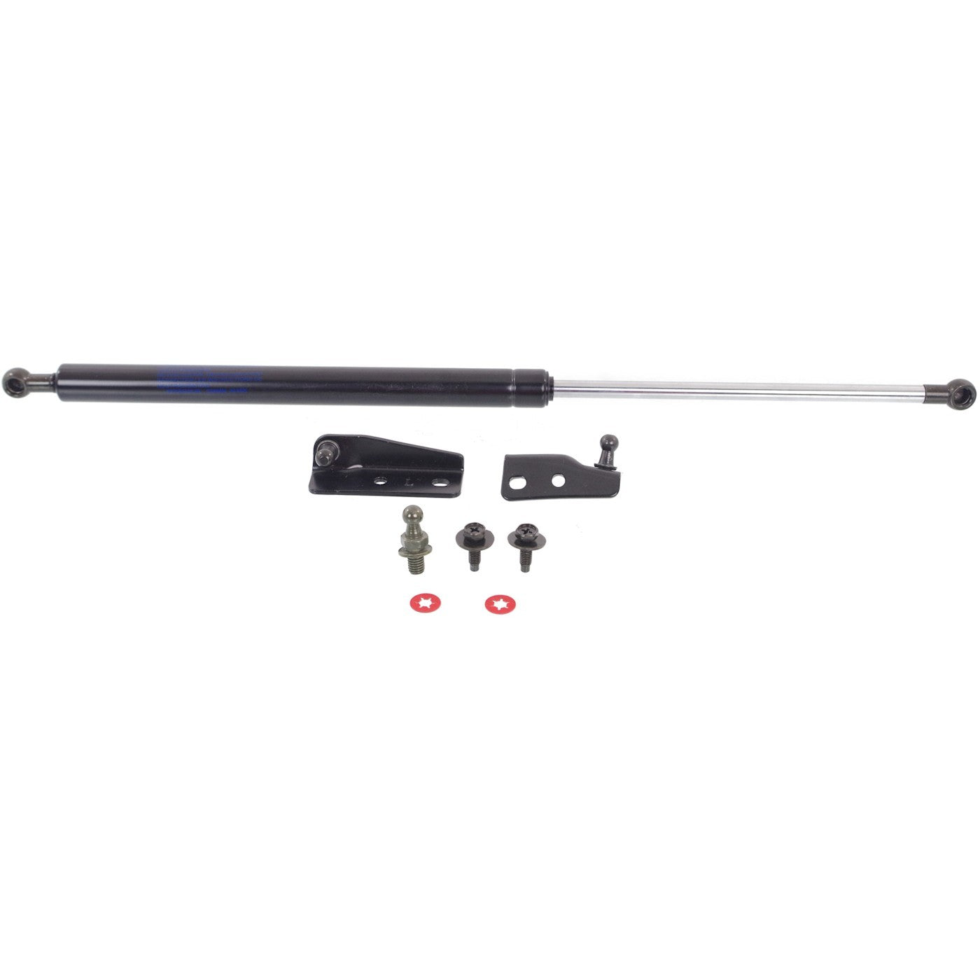 Set of 2 Liftgate Lift Supports for Driver & Passenger Side