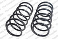 Front Coil Spring for Lesjofors (4144203)