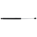 Lift Support for Lexus CT200h (2011–2017)