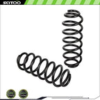 2pc Rear Coil Springs for Volkswagen Tiguan (2017–2018), Passat (2006–2019)