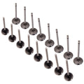 16pc Engine Intake Exhaust Valves for Renault Clio MK III (2005–2012)
