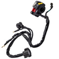Kill Switch Set for Honda TRX 300EX 1999–2004 (ATV)