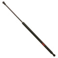 Hatch Lift Support for BMW X5 (2000–2006)