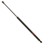 Hatch Lift Support for BMW X5 (2000–2006)