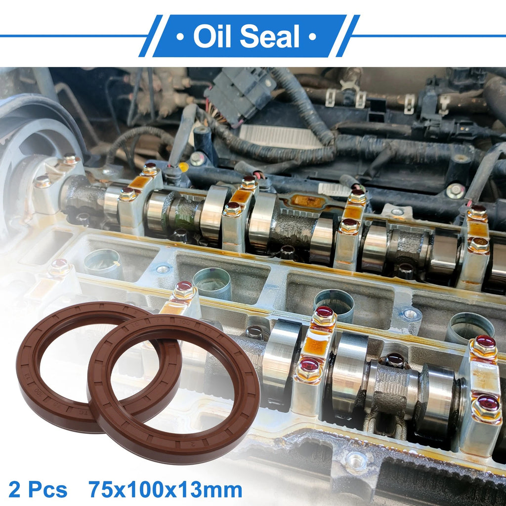 Set of 2 Oil Seal Rotary Shaft Seal FKM Rubber 75x100x13mm