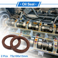 Set of 2 Oil Seal Rotary Shaft Seal FKM Rubber 75x100x13mm