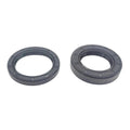 Seal Kit for Tebeen (Input and Output) (Replaces 05-002, 05-005)