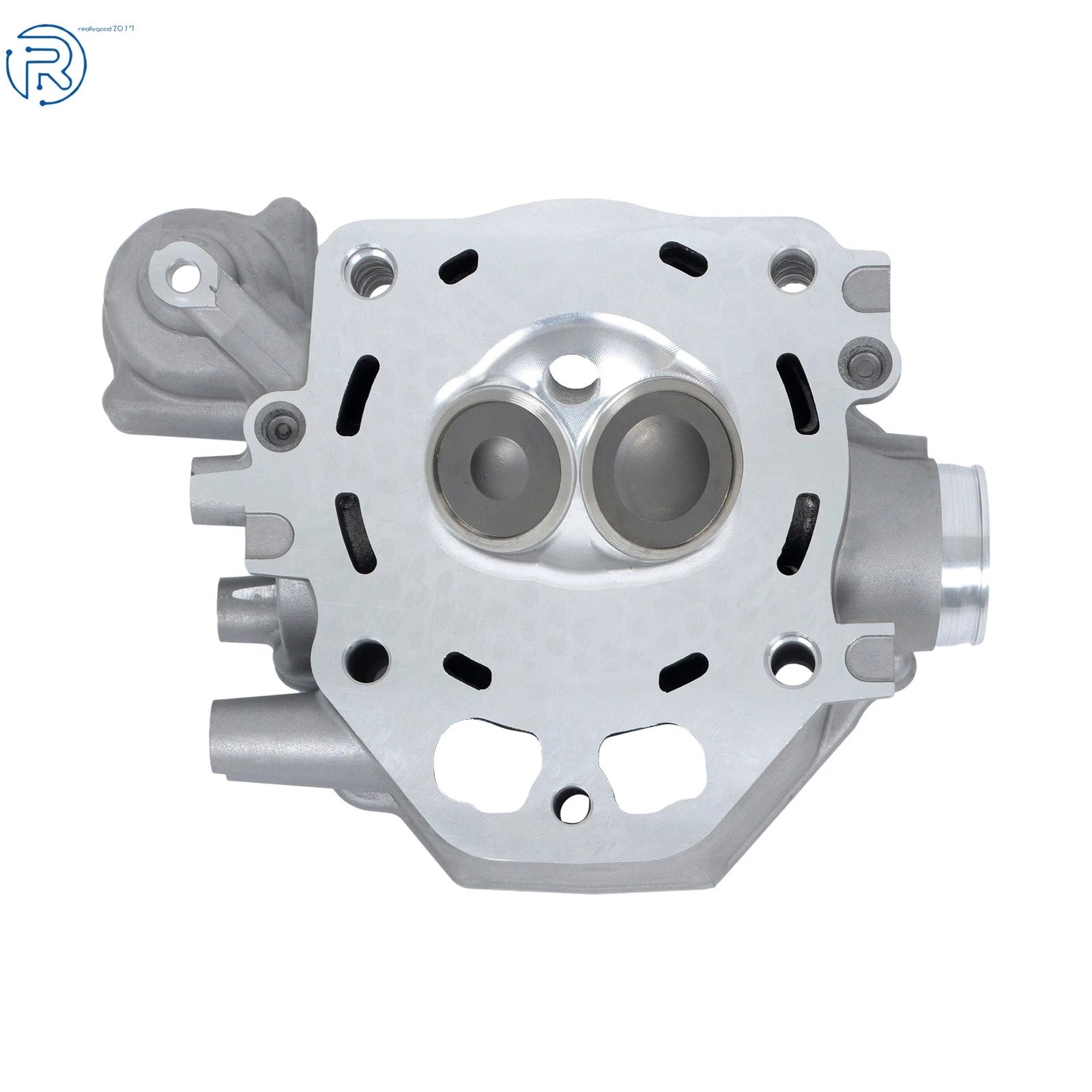 Cylinder Head Repair Kit for Honda TRX420 (2009-2024)