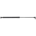 Liftgate Lift Supports for Make Model (Driver/Passenger Side)