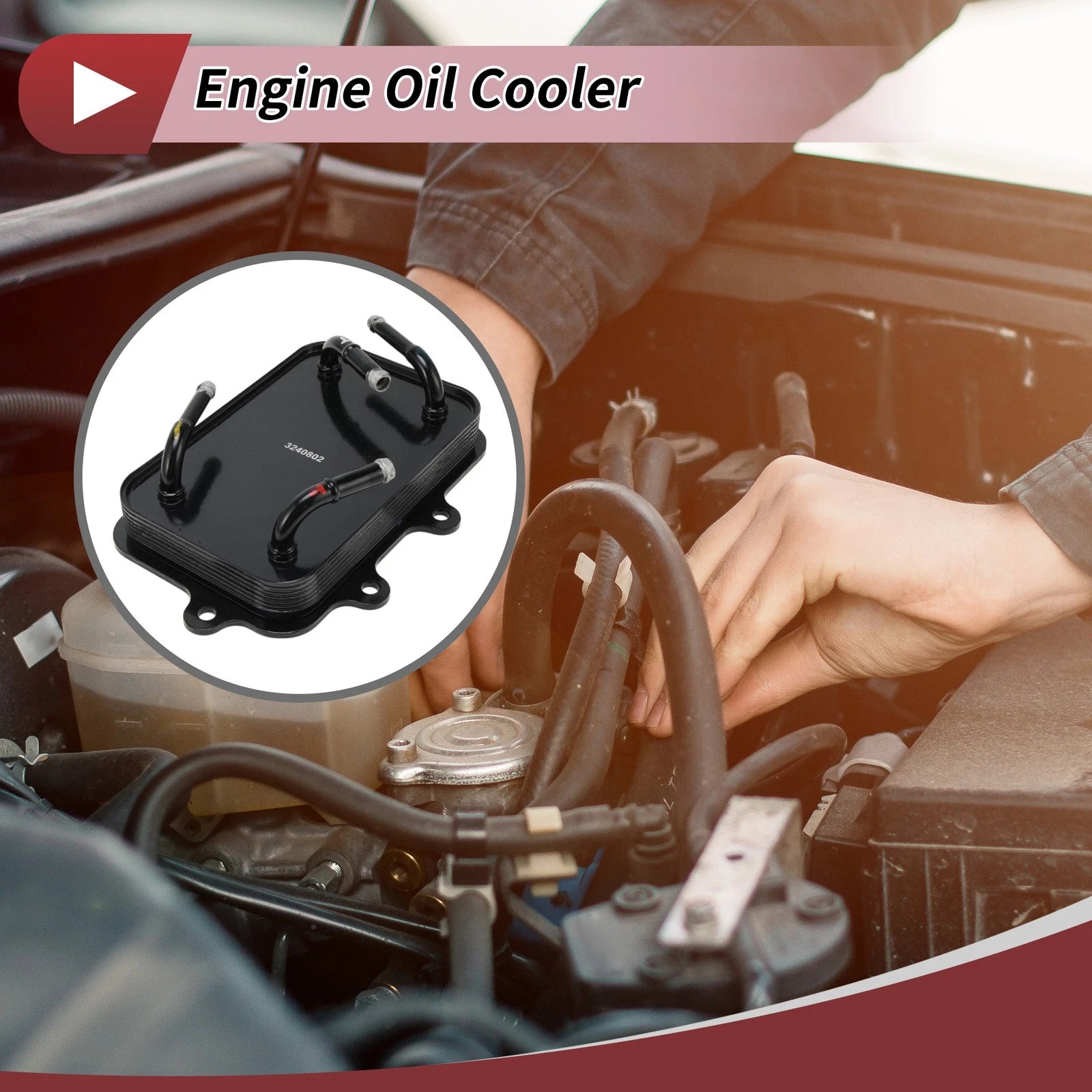 Engine Oil Cooler No. 256204R000  