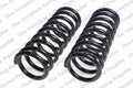 Front Coil Spring Kit for GM (4101403)