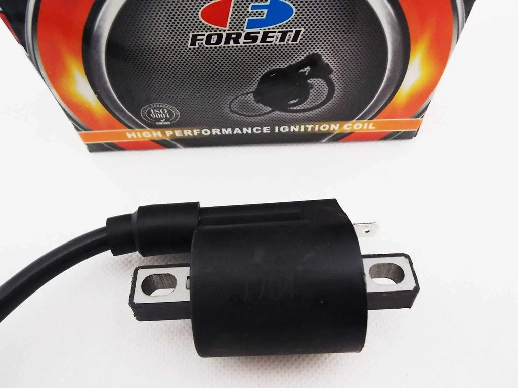 Ignition Coil Spark Plug Cap Assembly for Kawasaki KLX400 (2003-2004)