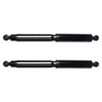 2X Rear Struts for Dodge Ram 1500 (2009–2010)
