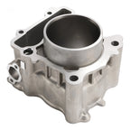 344cc Cylinder Piston Top End Kit for Yamaha XMAX 250 300 (2017–2024) B74