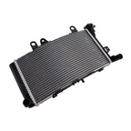 Radiator Cooler for BMW F750GS F850GS (2019–2024)