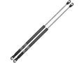 Tailgate Strut Set of 2 for Suzuki Aerio Wagon (2002–2006) NQ599JC